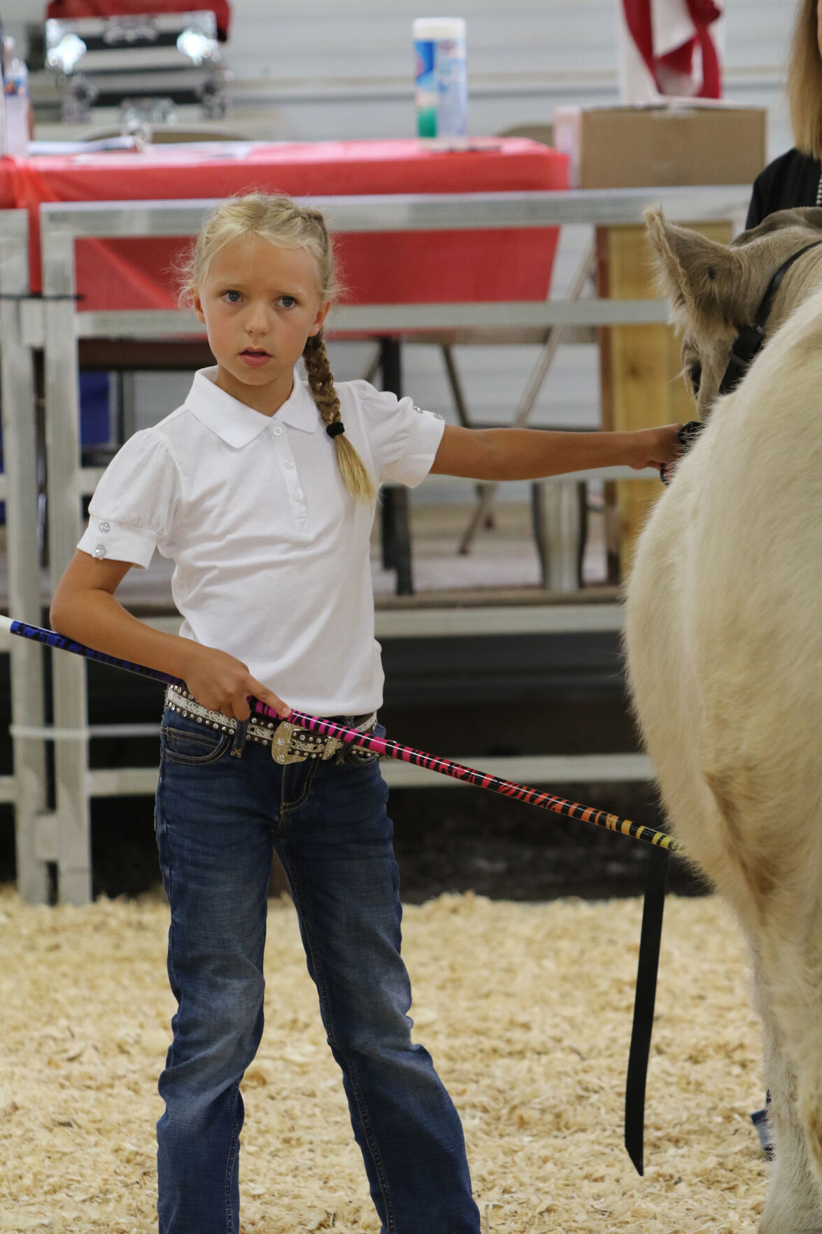 PHOTOS: Market Beef Show 2020